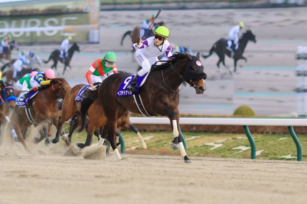 Peptide Nile and jockey Yusuke Fujioka win the G1 February Stakes at Tokyo Racecourse in February, 2024