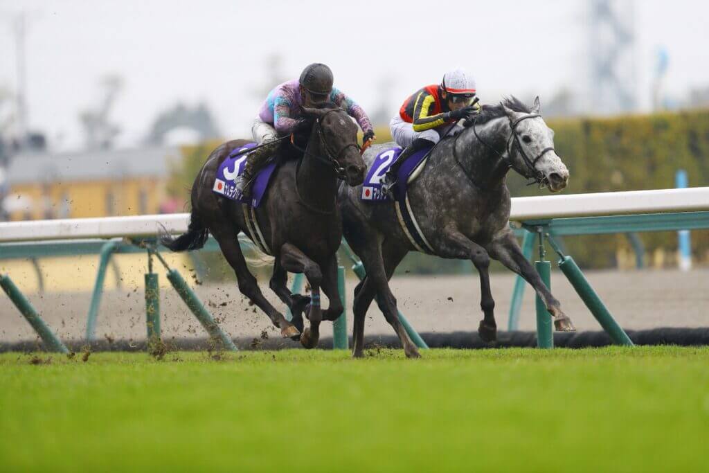 Mad Cool and Ryusei Sakai win the G1 Takamatsunomiya Kinen at Chukyo in 2024