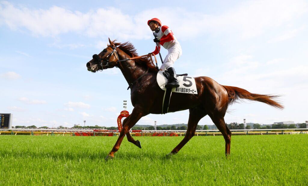Norihiro Yokoyama and 2024 Tokyo Yushun winner Danon Decile