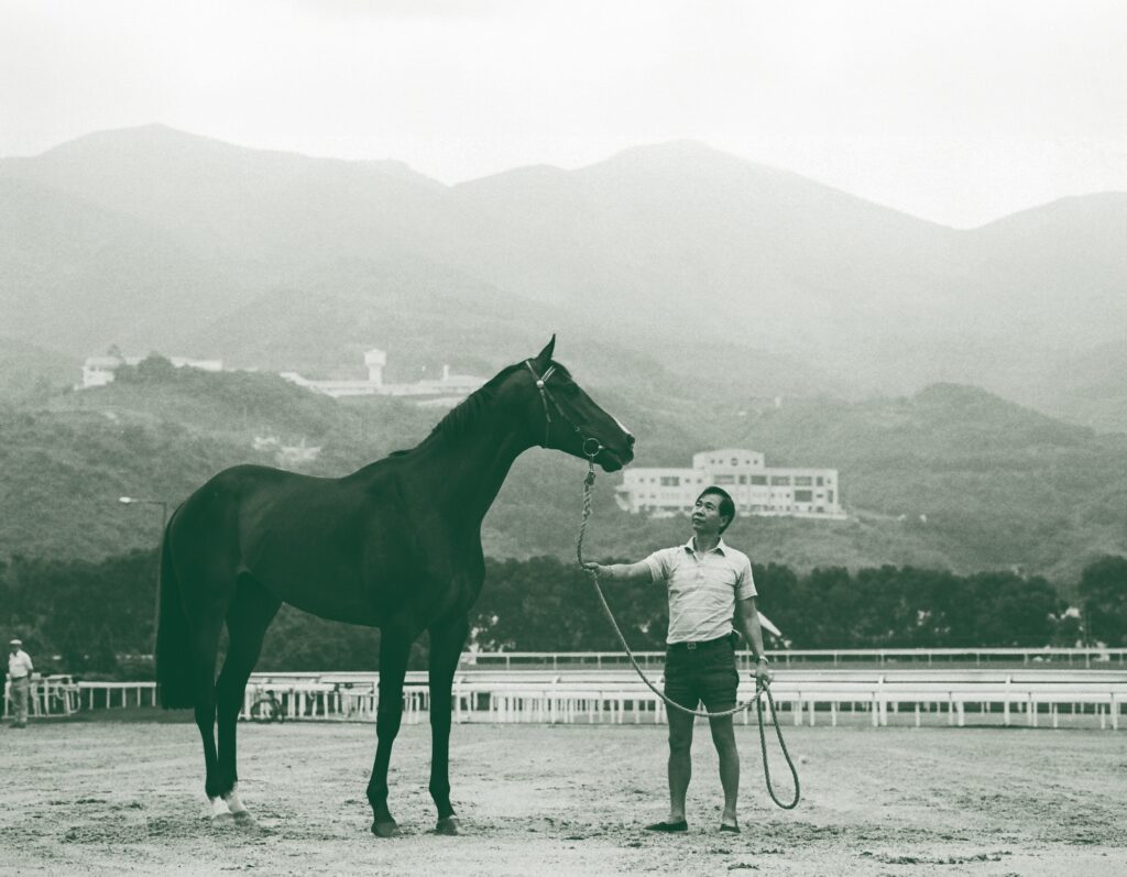 River Verdon racehorse at Sha Tin