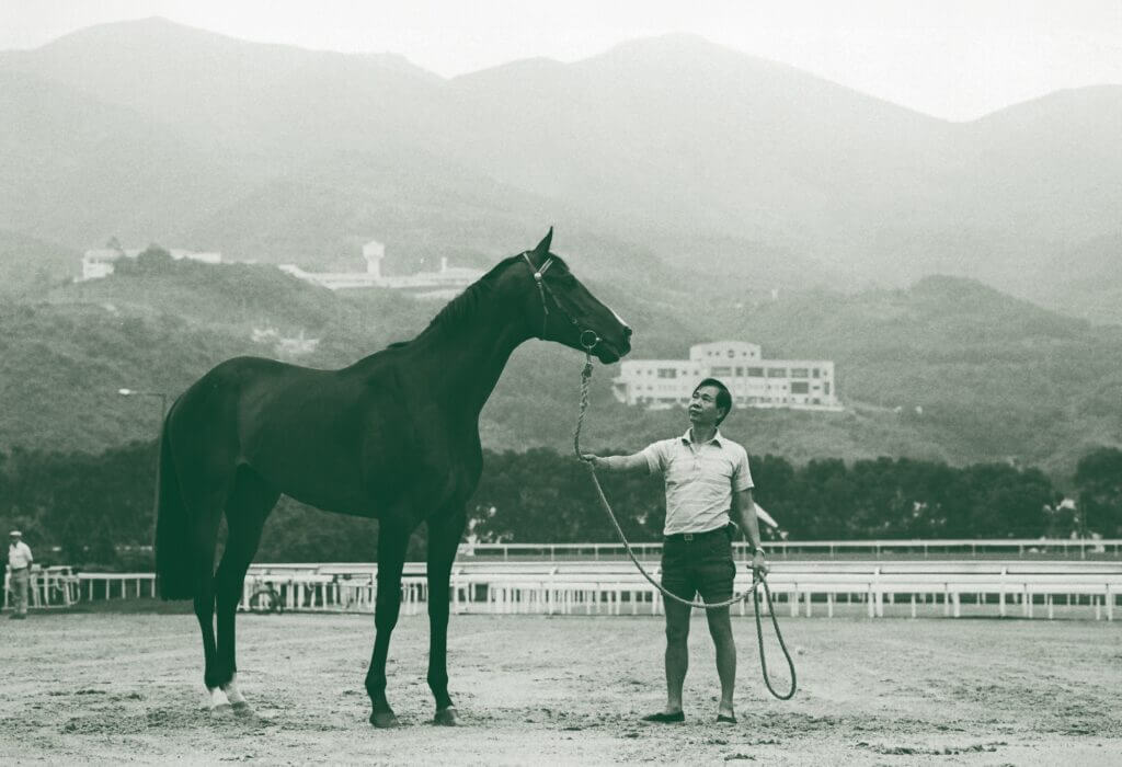 River Verdon racehorse at Sha Tin