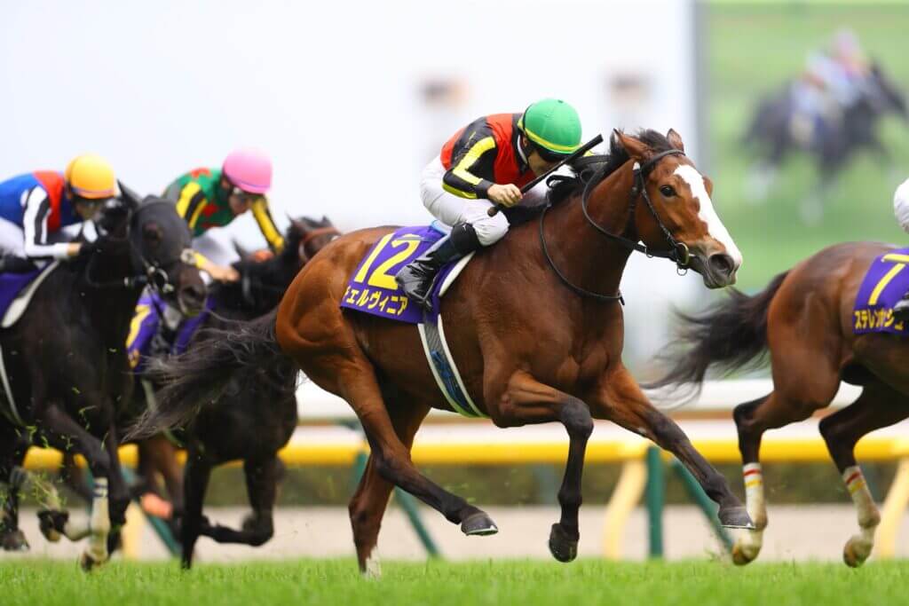 Cervinia wins the G1 Yushun Himba