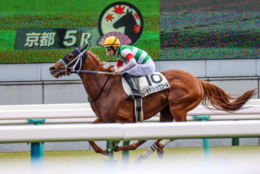Seraphic Call and Damian Lane at Kyoto