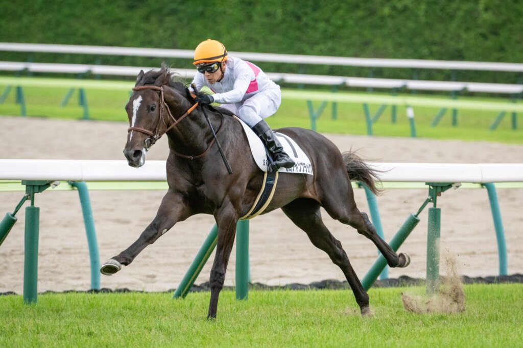 Piko Chan Black wins at Fukushima