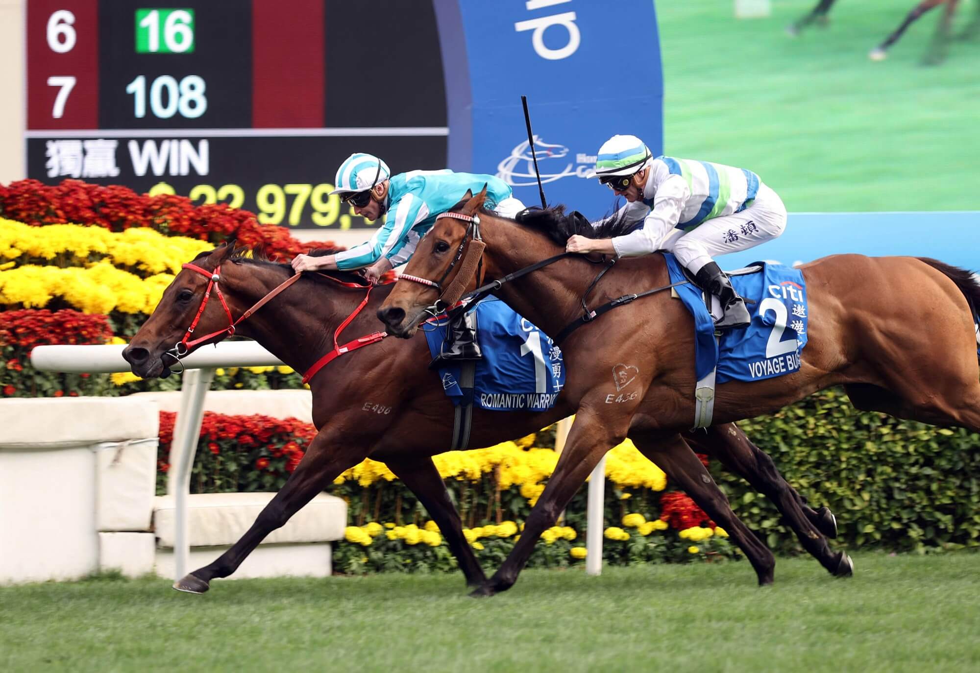 Romantic Warrior wins G1 Hong Kong Gold Cup