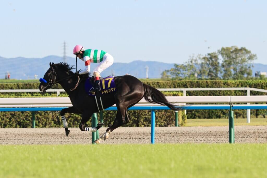 Durezza wins G1 Kikuka Sho