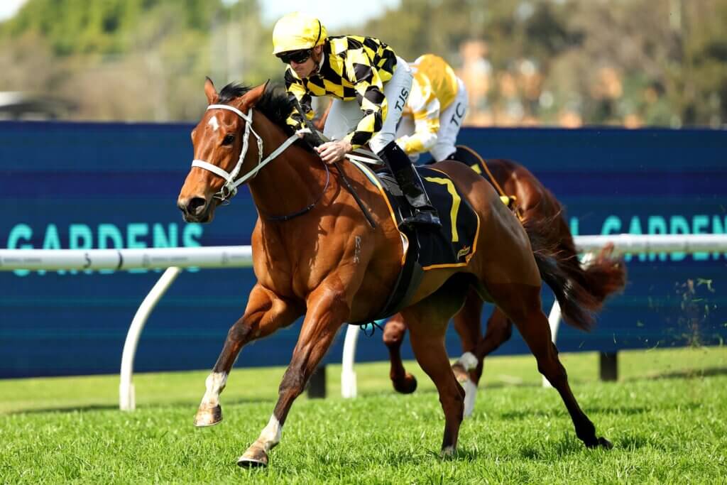 Autumn Glow wins at Rosehill