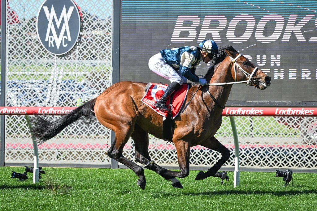 Daggers wins at Moonee Valley