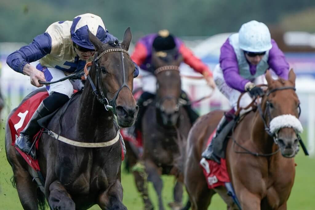 Darnation wins May Hill Stakes