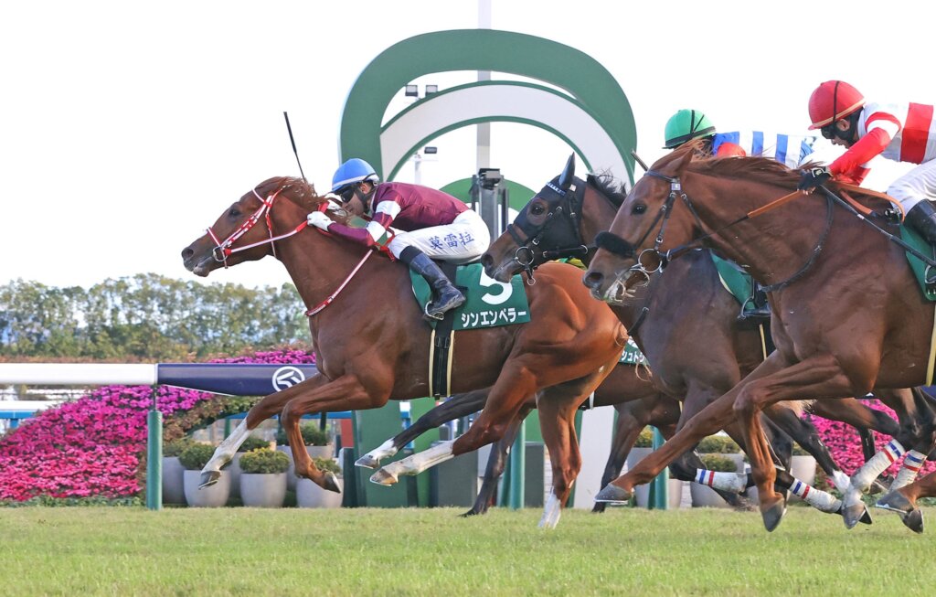 Shin Emperor wins G3 Radio Nikkei Hai Kyoto Nisai Stakes