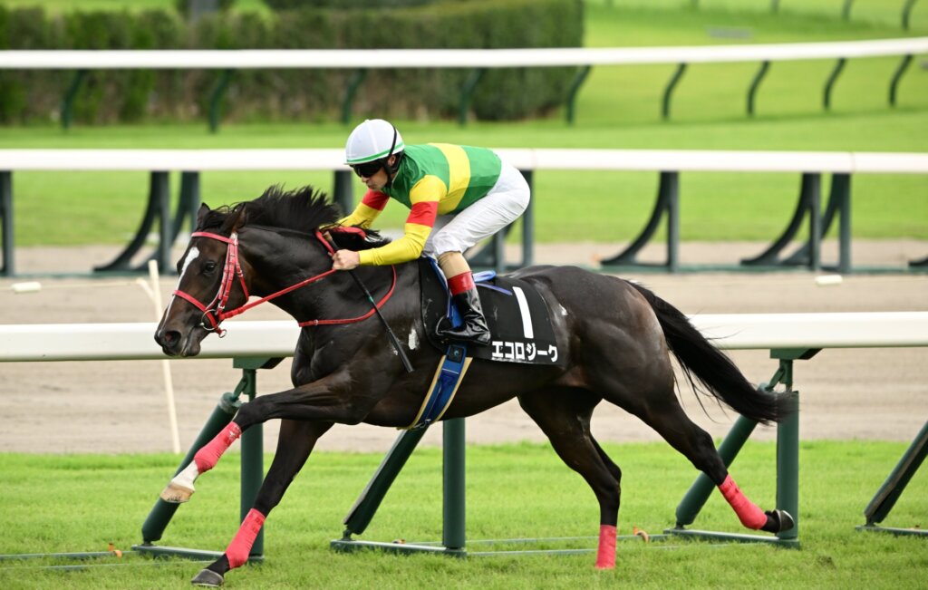 Ecoro Sieg wins at Nakayama