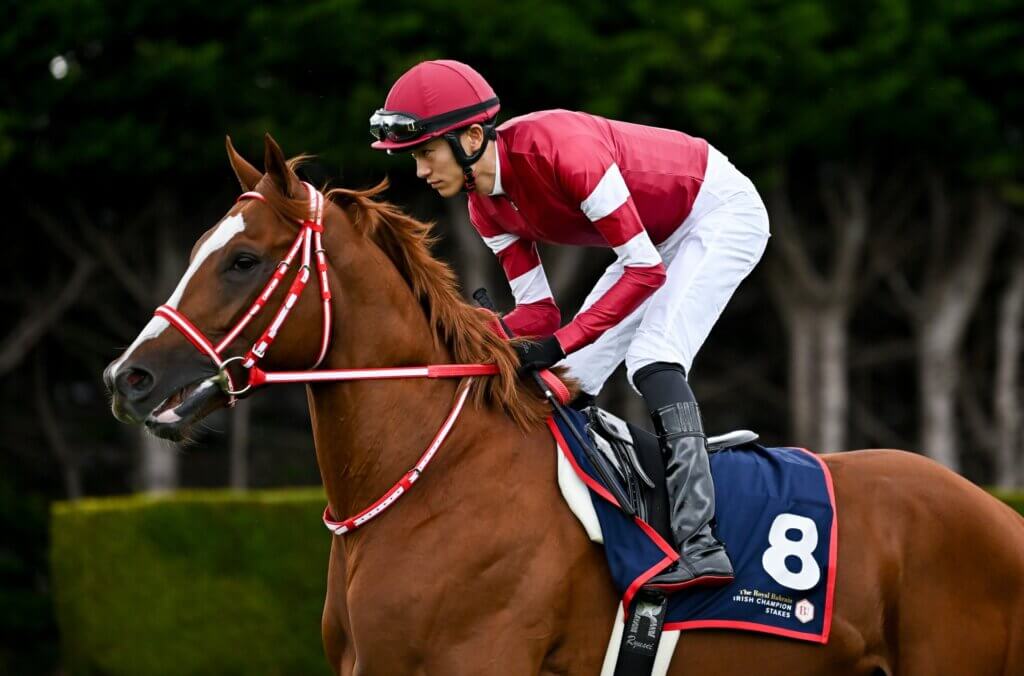 Shin Emperor at Leopardstown