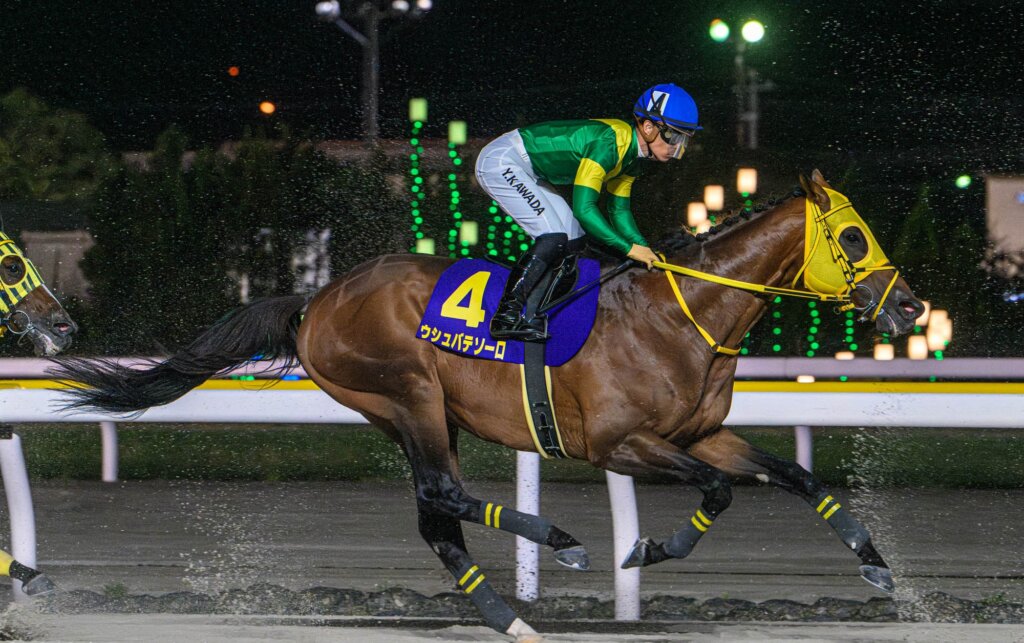 Ushba Tesoro runs second at Funabashi