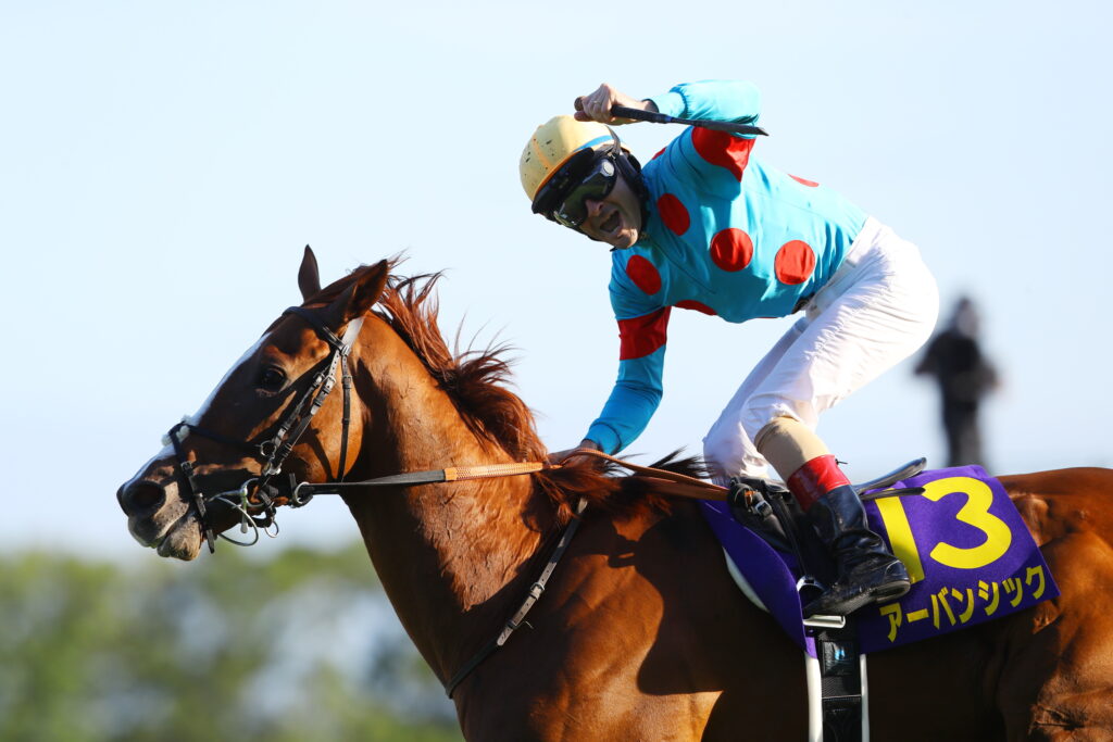 Urban Chic wins Kikuka Sho