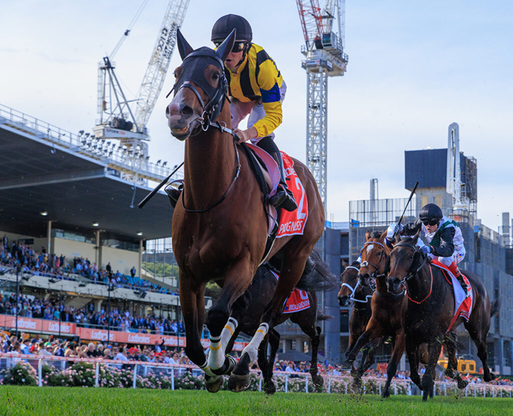 Prognosis finishes second in the Cox Plate.