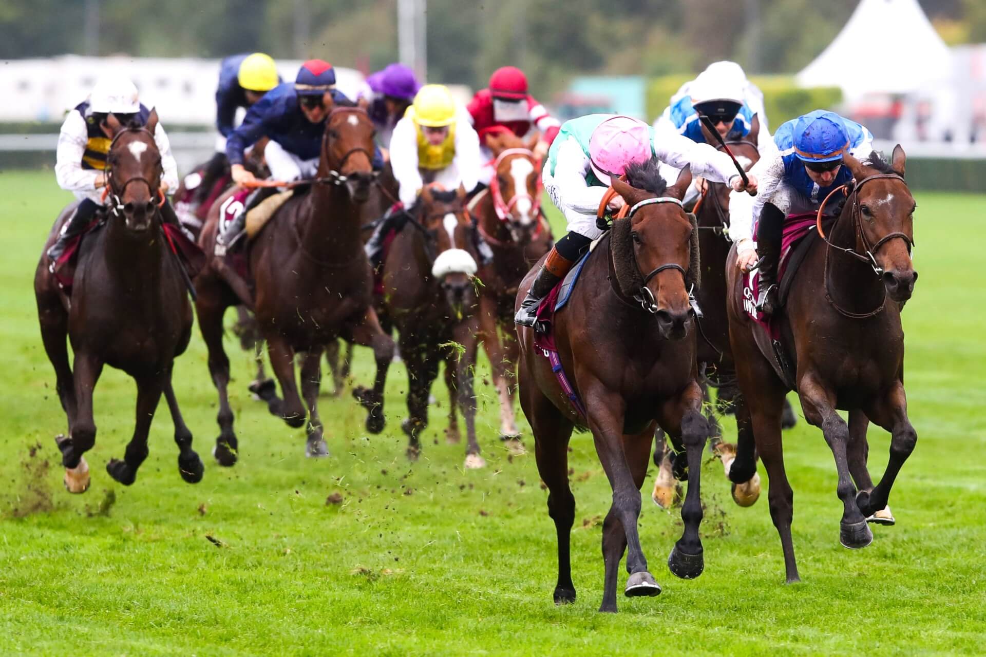 Bluestocking wins the Arc