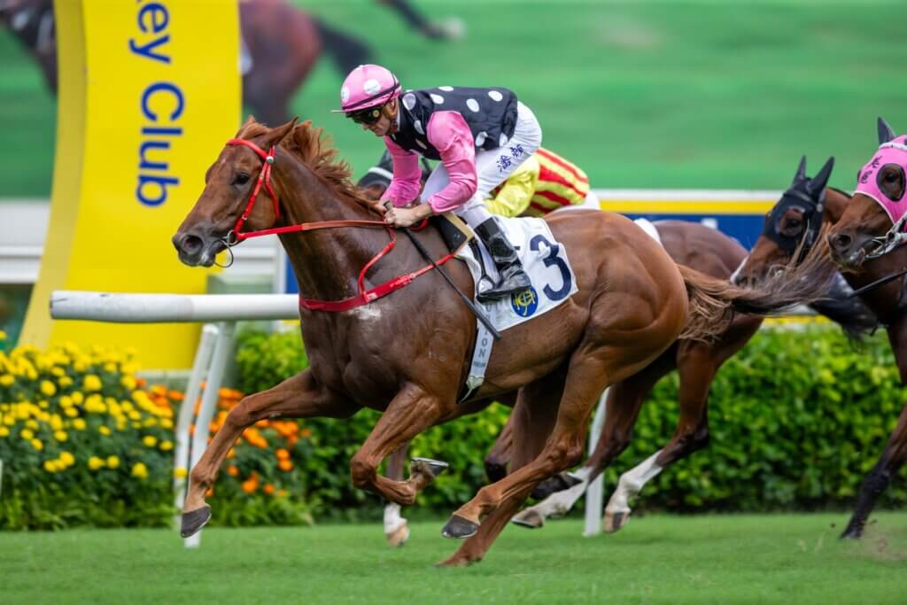 Beauty Eternal wins the Lion Rock Trophy
