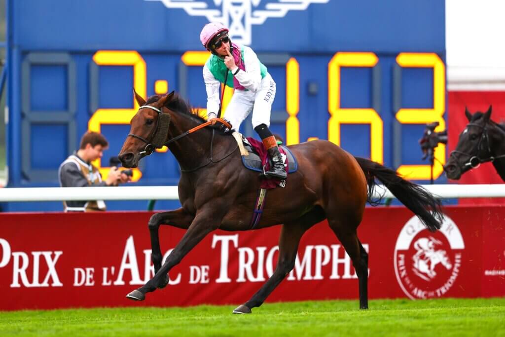 Bluestocking wins the Arc