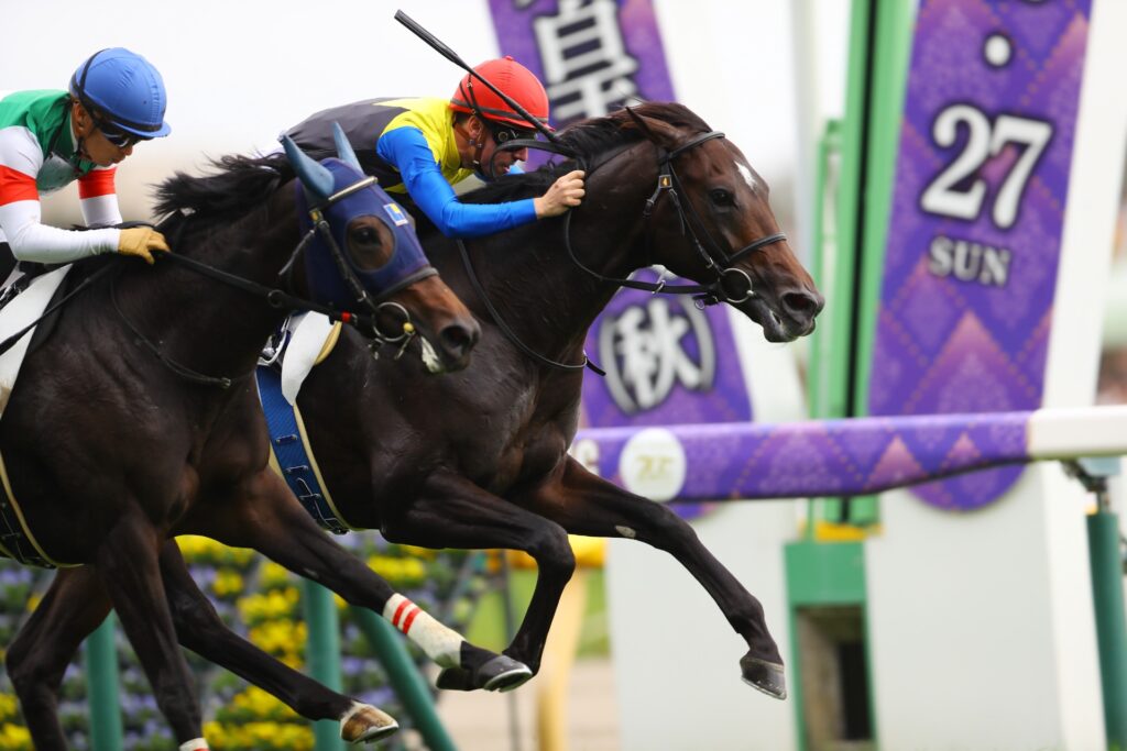 Cristian Demuro wins Newcomer on Amakihi