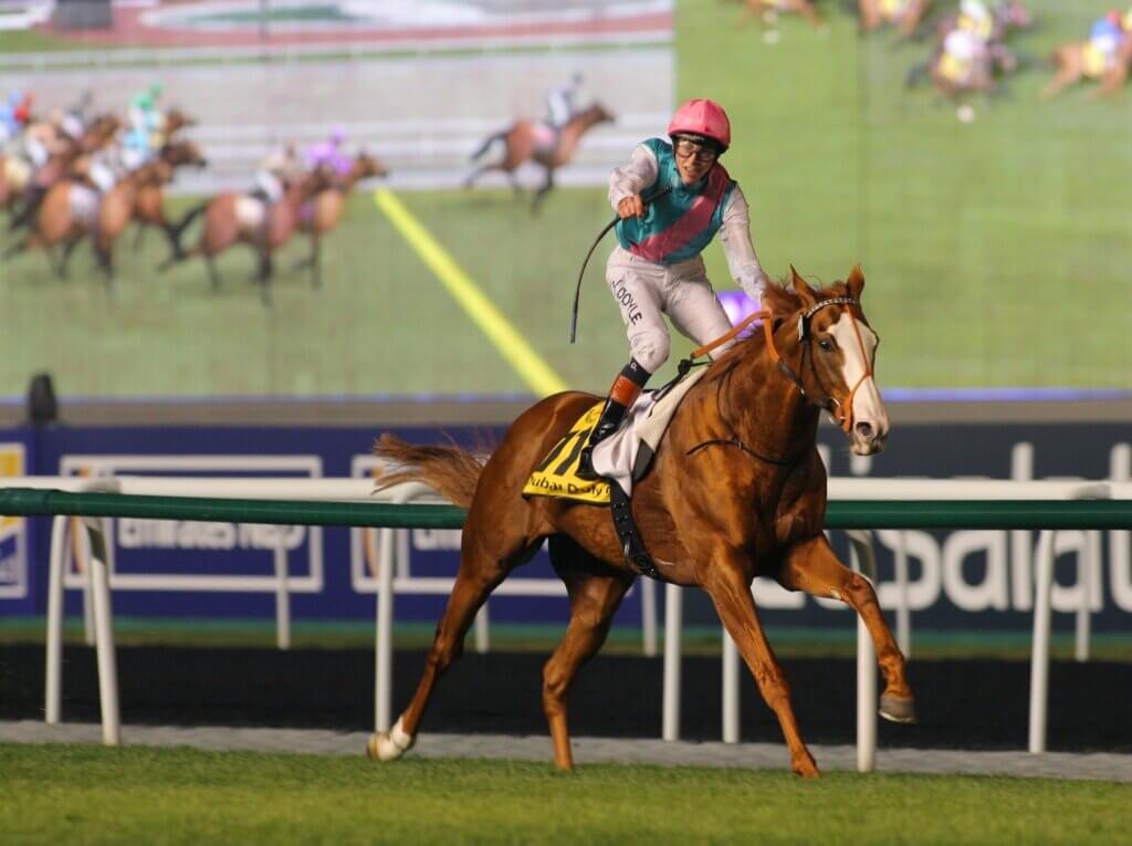 James Doyle and Cityscape