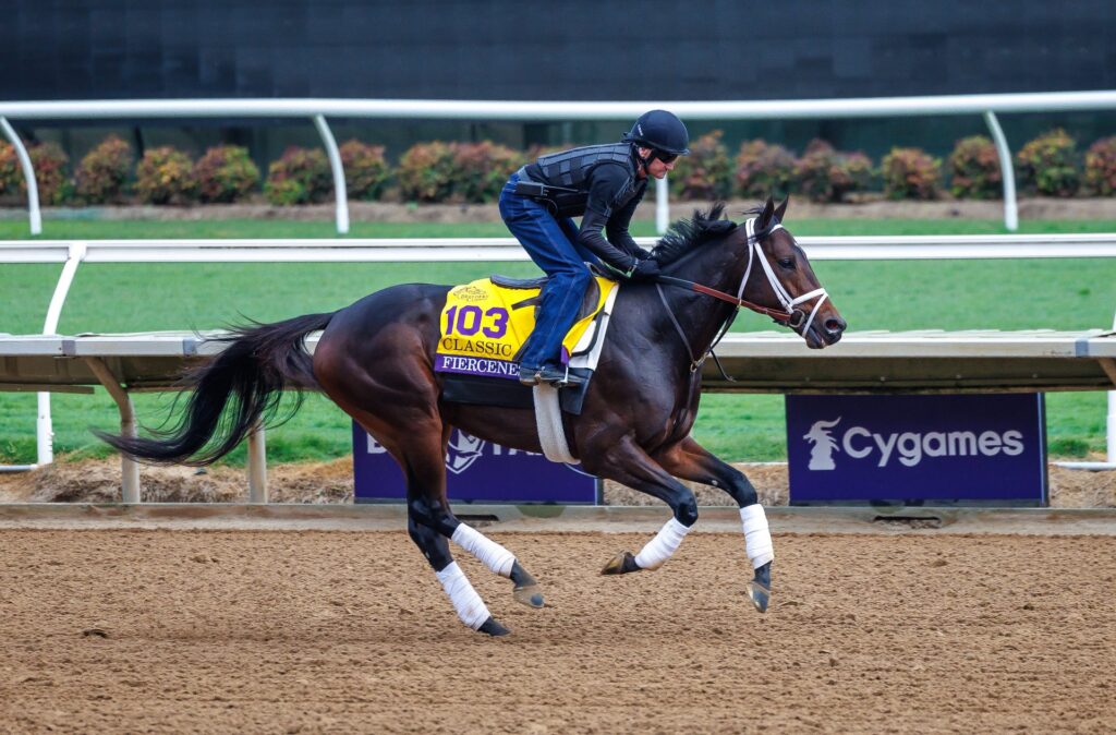Fierceness works ahead of 2024 Breeders' Cup Classic