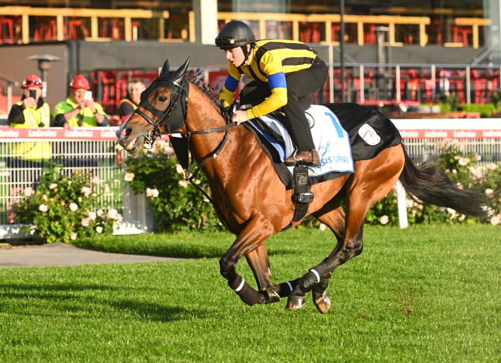 Damian Lane gallops Prognosis at Valley