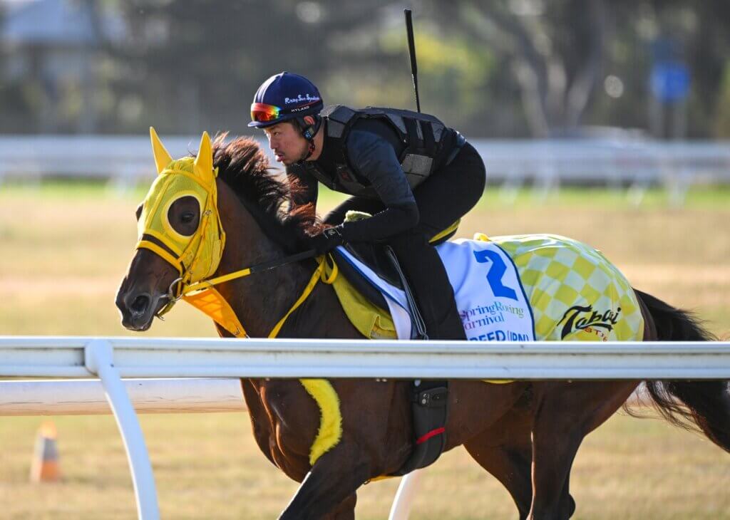 Warp Speed and Kosi Kawakami