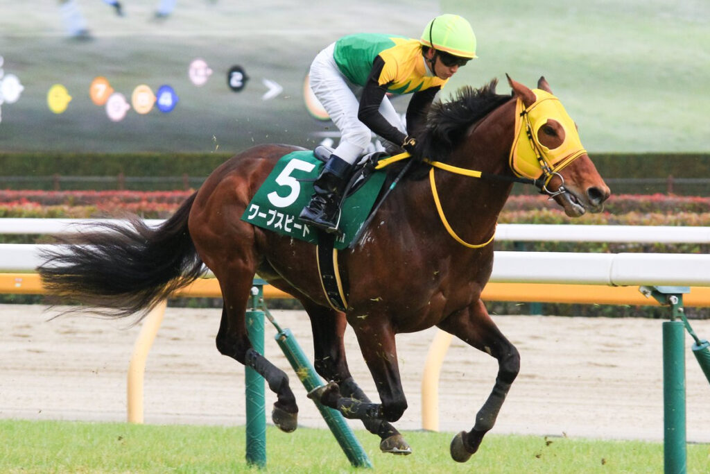 Breeders’ Cup To Melbourne Cup For Akira Sugawara