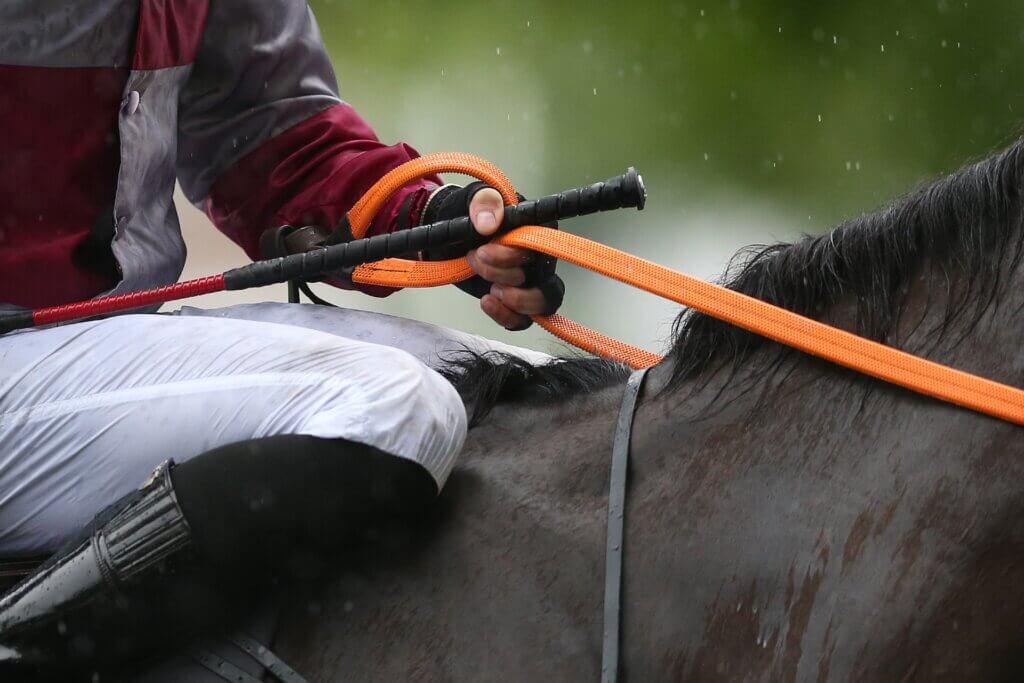Horse racing integrity handbook
