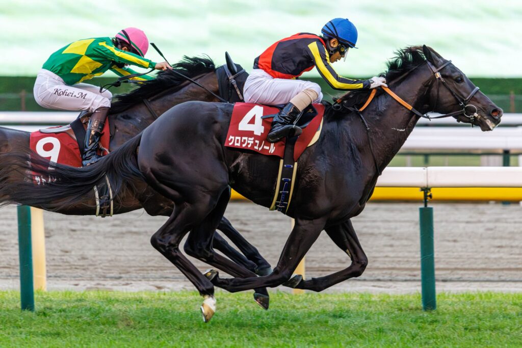 Croix du Nord wins G2 Tokyo Sports Hai Nisai Stakes