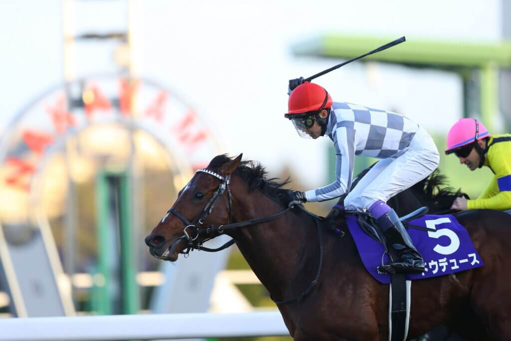 Do Deuce wins the G1 Arima Kinen 2023