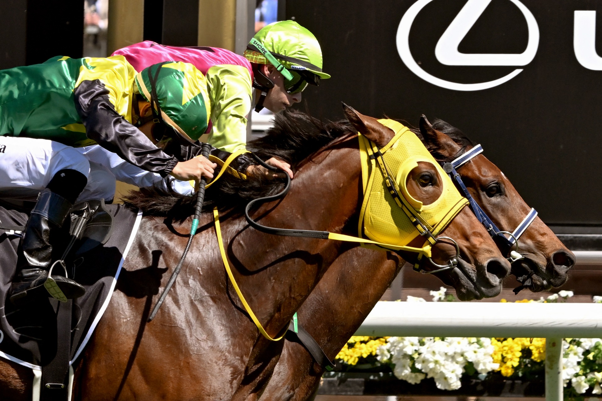 Knight's Choice and Robbie Dolan win the Melbourne Cup