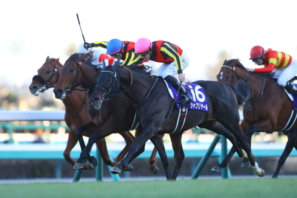 Regaleira denying Shahryar in the Arima Kinen