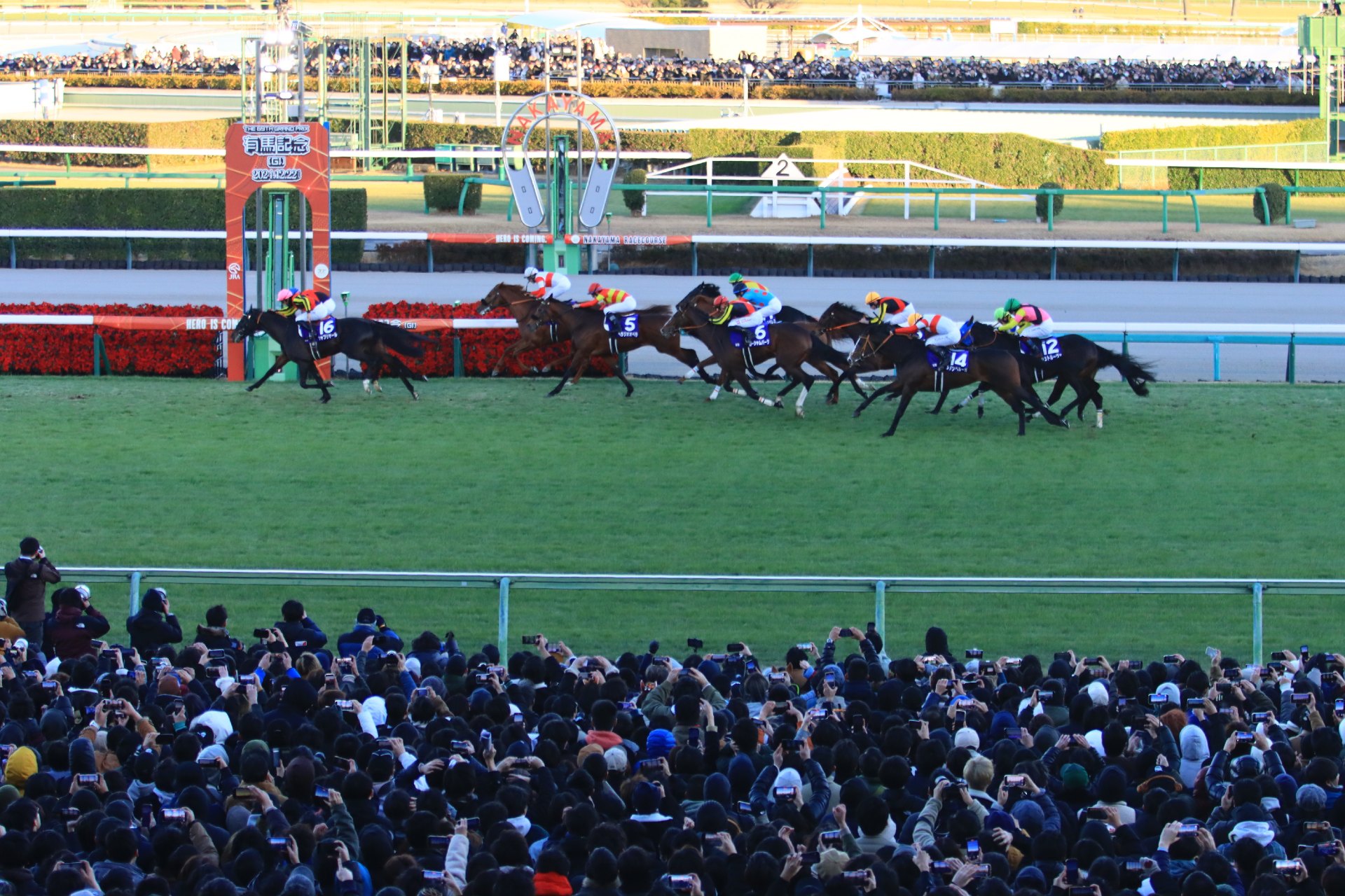 The Arima Kinen is the biggest betting race in the world