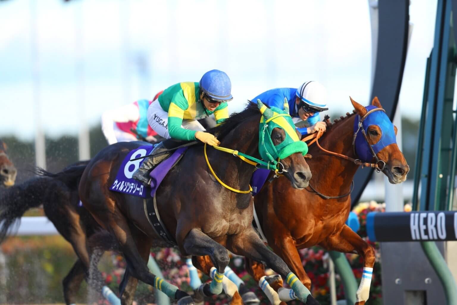 2025 Champions Cup: What you need to know about Chukyo G1