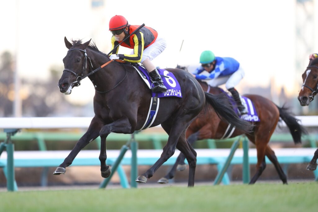 Croix Du Nord claiming the Hopeful Stakes