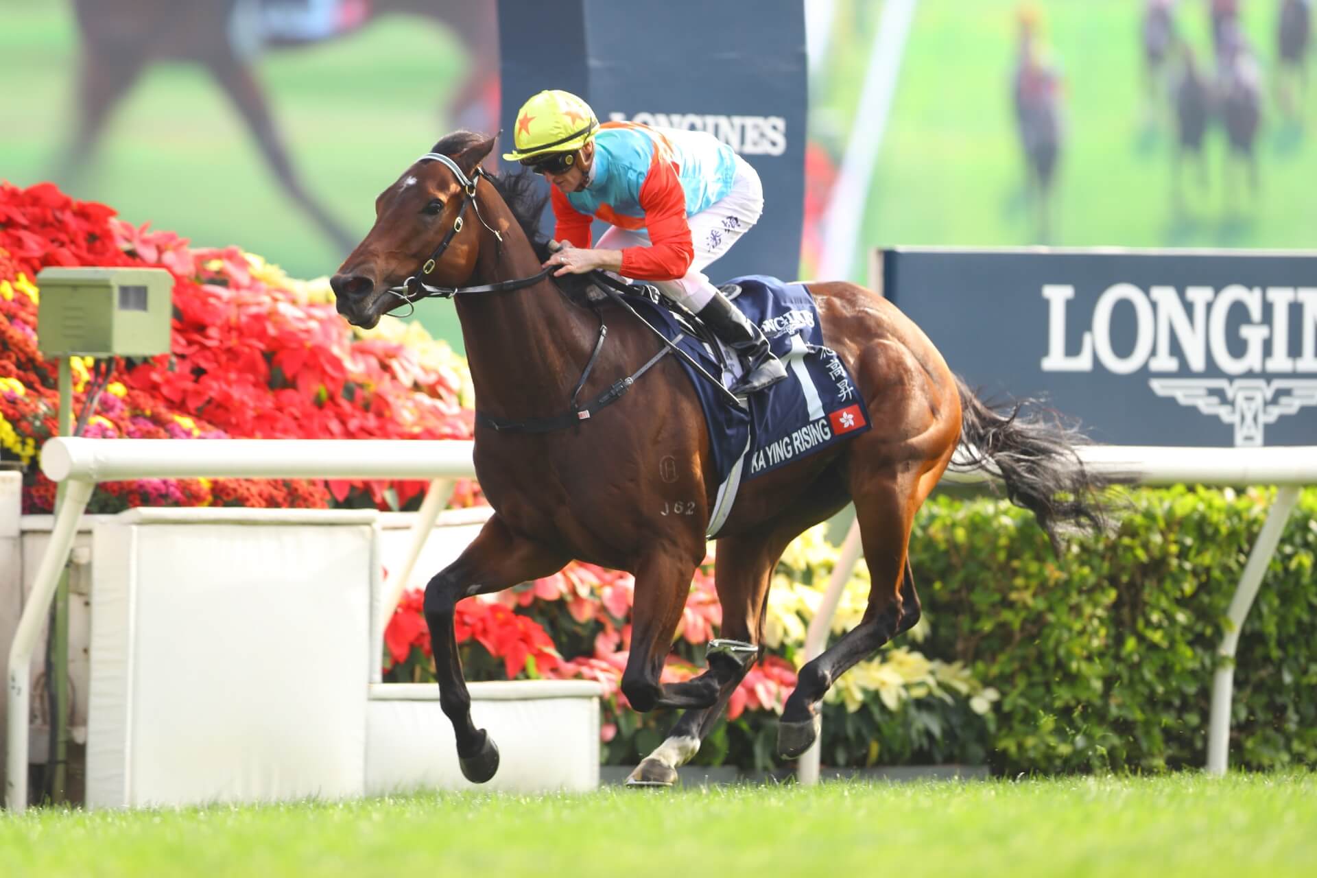 Ka Ying Rising wins the G1 Hong Kong Sprint