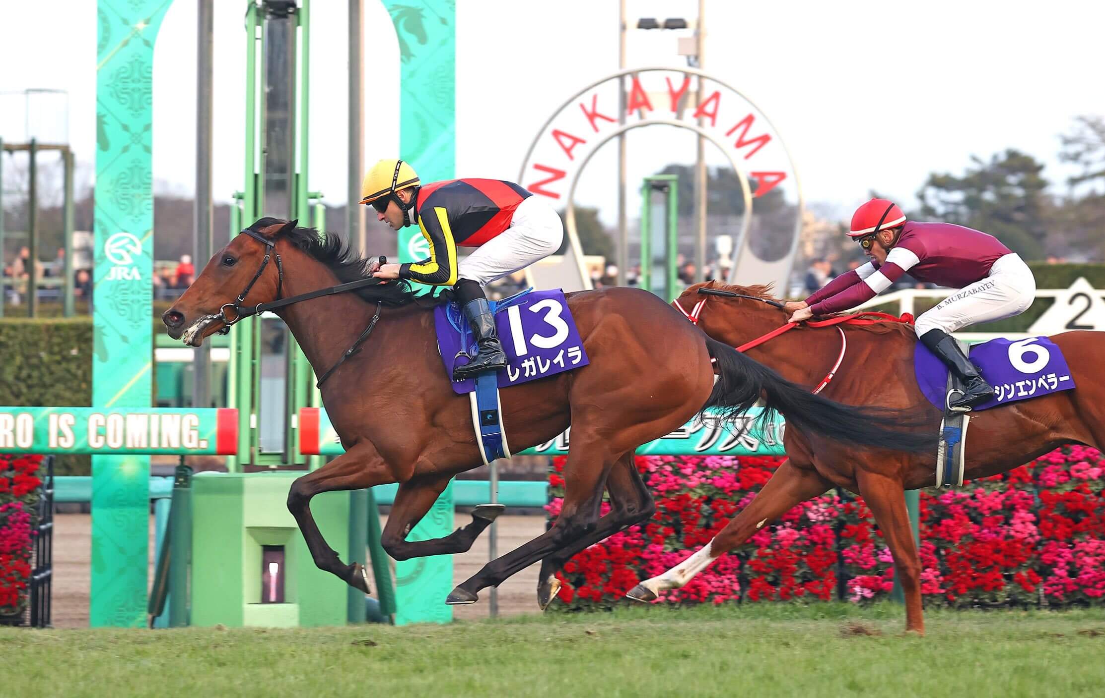 Regaleira wins the Hopeful Stakes