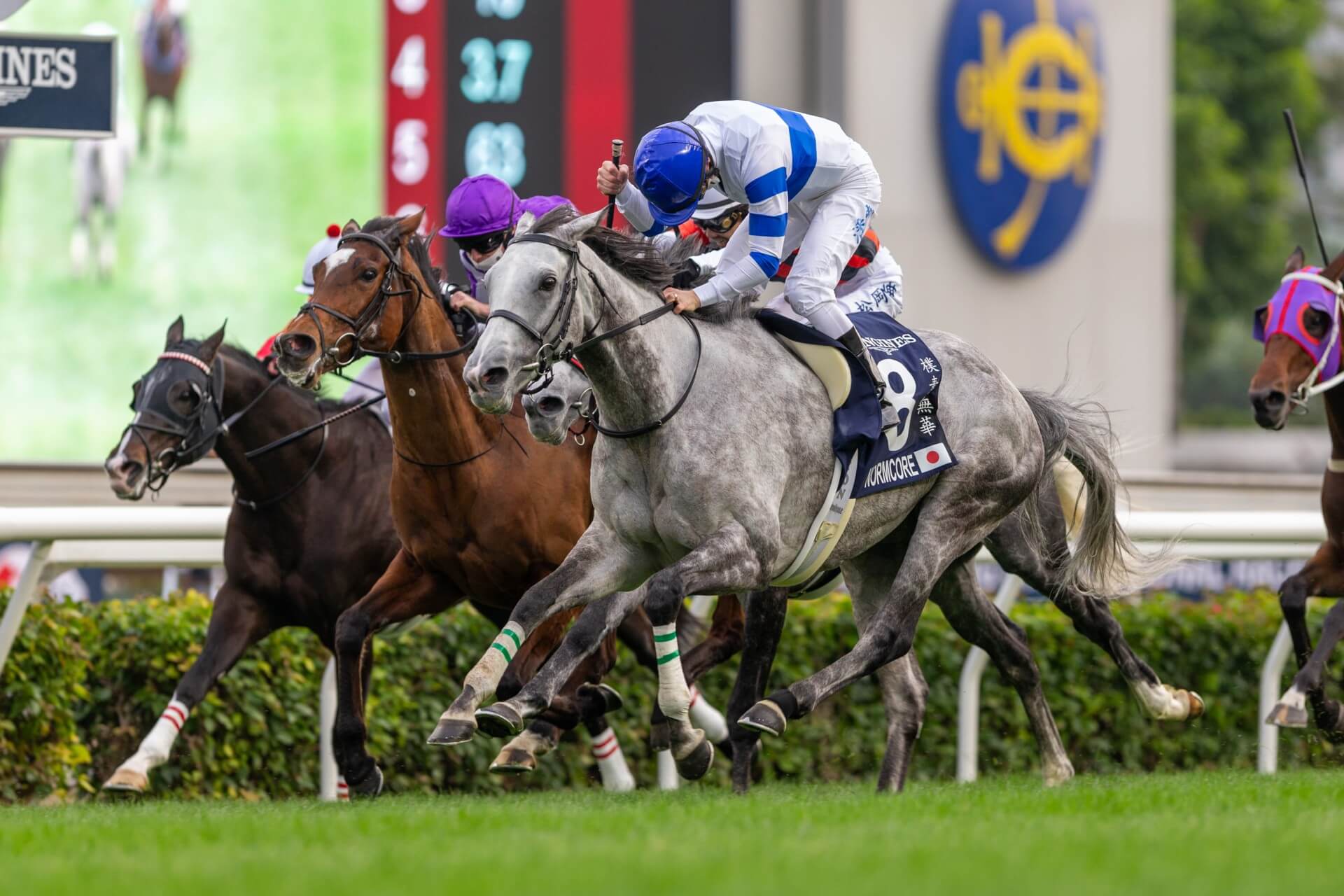 World Horse Racing Calendar - Idol Horse