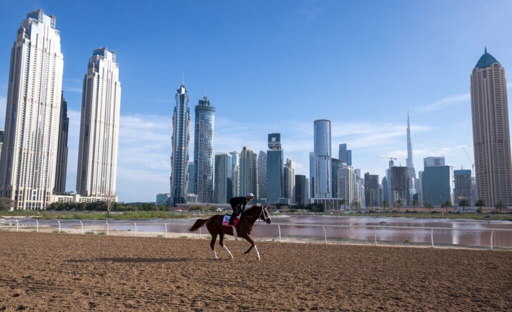 Kabirkhan ahead of the 2024 Dubai World Cup