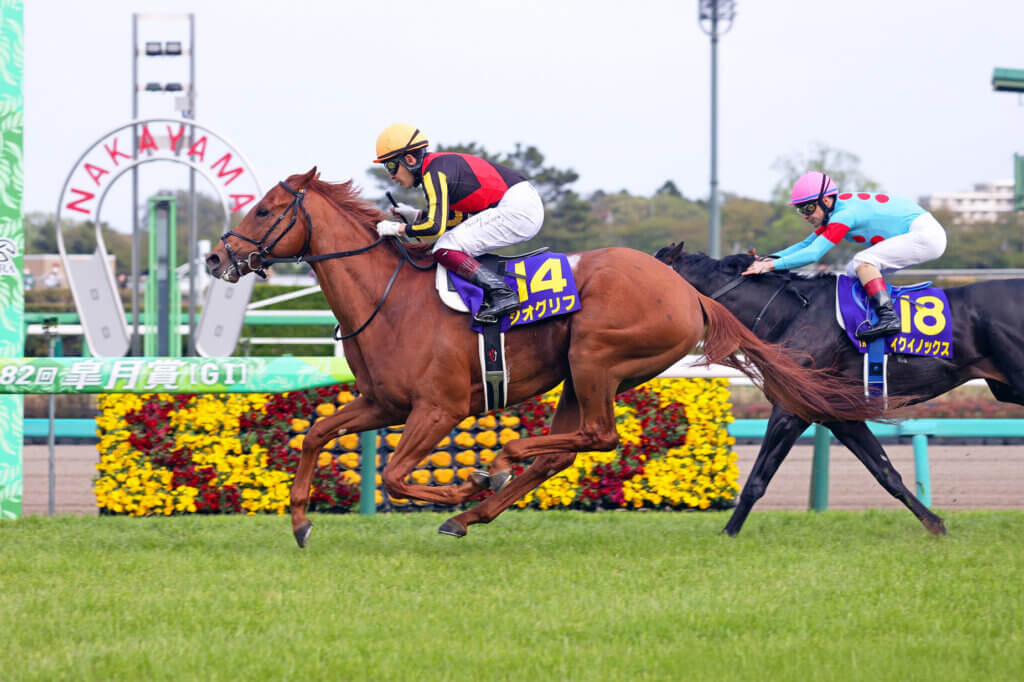 Geoglyph beats Equinox in Satsuki Sho