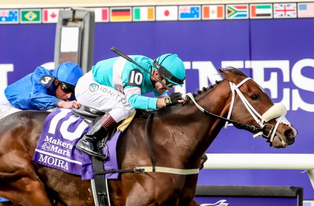 Moira claiming the G1 Breeders' Cup Filly & Mare Turf