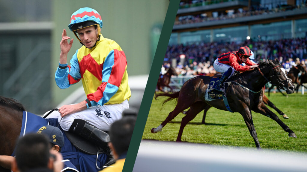 Jockey Ryan Moore will partner Mickley in the Hong Kong Derby