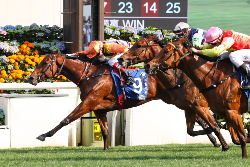 My Wish produced a huge finish to just miss in the Hong Kong Derby