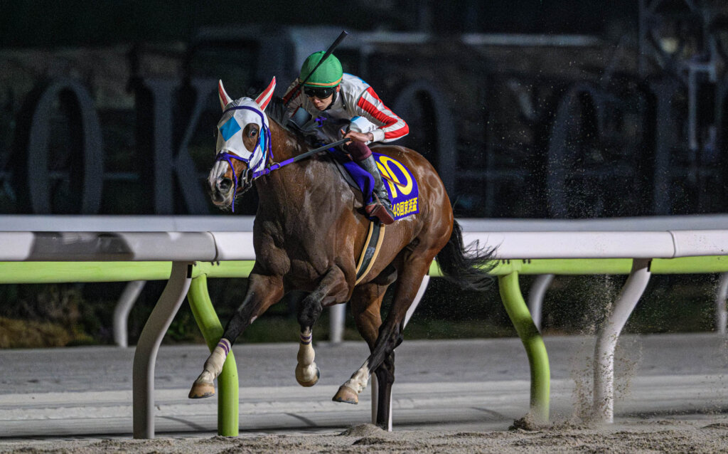 Natural Rise wins the Jpn2 Keihin Hai at Oi Racecourse