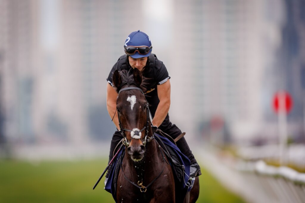 Ramadan completing trackwork at Sha tin