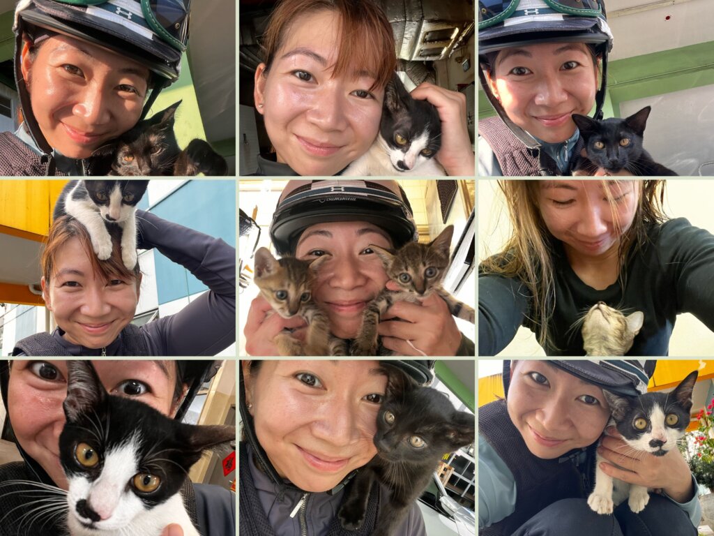 JERLYN SEOW & THE RESCUE CATS OF KRANJI