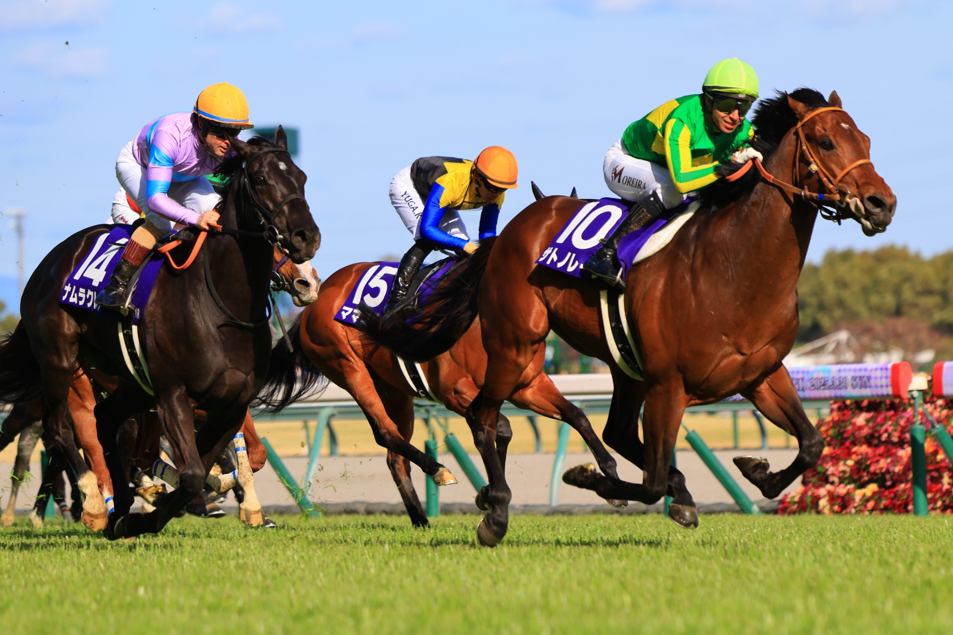 Namura Claire finished second to Satono Reve