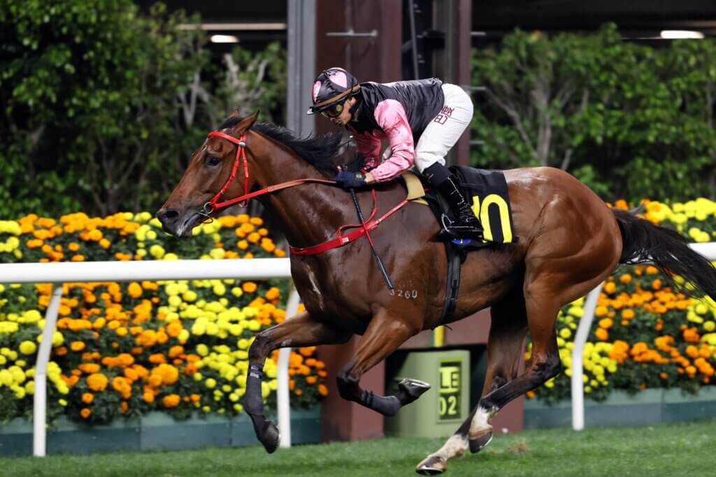 Beauty Alliance wins at Happy Valley