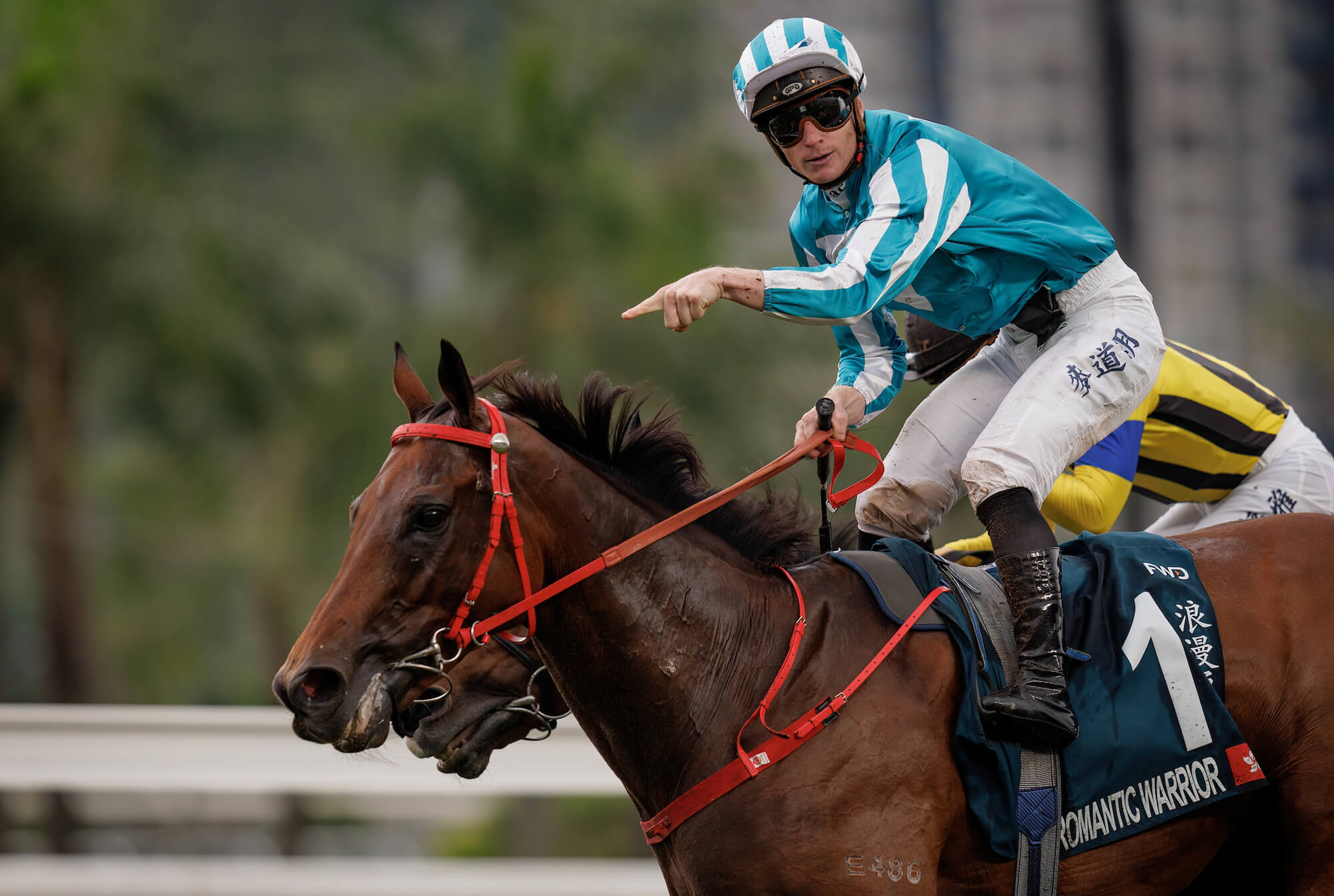 Romantic Warrior wins the G1 QE II Cup of 2024